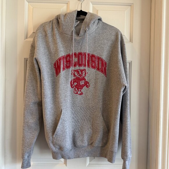 Champion University of Wisconsin Hoodie - Unisex size L - Picture 1 of 7